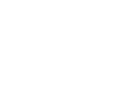 Realcam