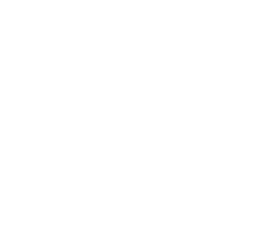 Skanmatik