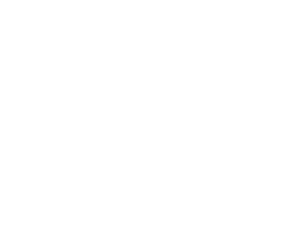 Vasya Diagnost